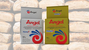Angel Yeast invests $43.46m, establishes new subsidiary and facility in Indonesia