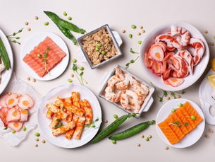 India to establish regulatory framework for advancing cell-based meat and seafood