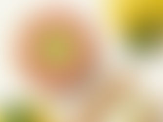 Solar Foods launches two new Solein products in Singapore