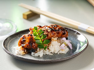 JACA report unveils blueprint for cell-based meat safety and regulation