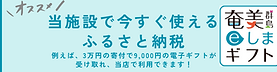 奄美群島eしまギフト