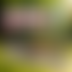 Noch einmal mittendrin: Das RC07 Gravel Race im Video