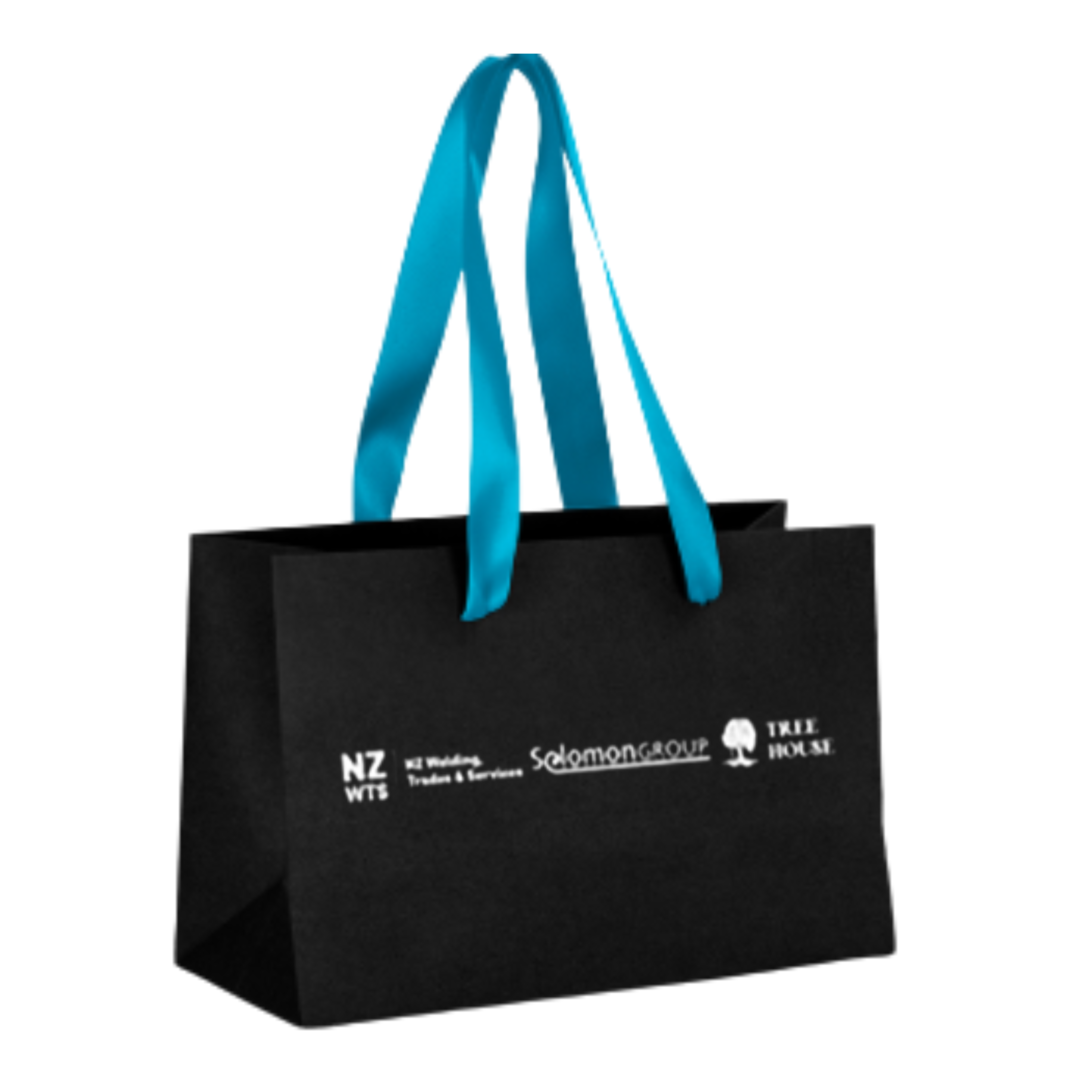 Small Ribbon Paper Bag - Light Blue Ribbon