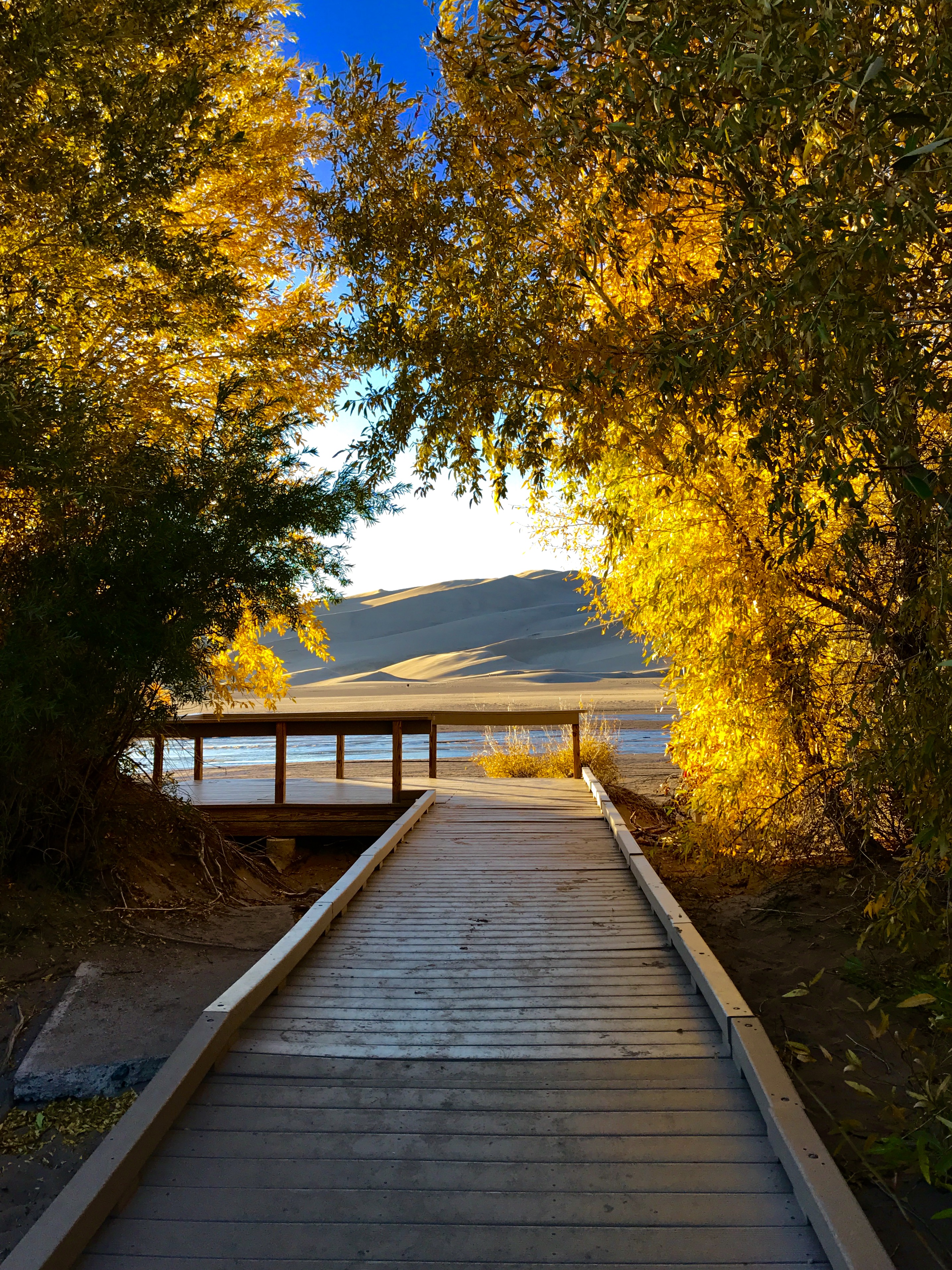 Great Sand Dunes Colorado