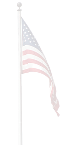 flag swaying in the wind