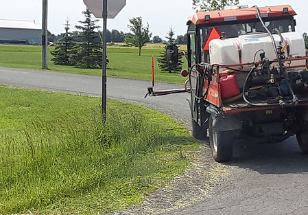 road side spray bota 1.jpg