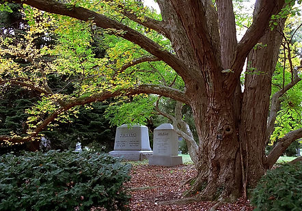 Cincinnati_–_Spring_Grove_Cemetery_&_Arboretum_“Autumn_Rest”_(26180808539).jpeg