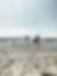 Children playing on sandy beach
