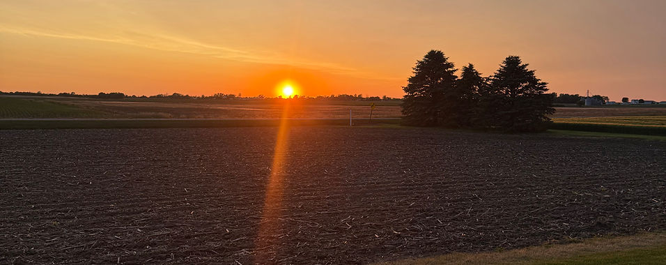 Sunset over field with trees
