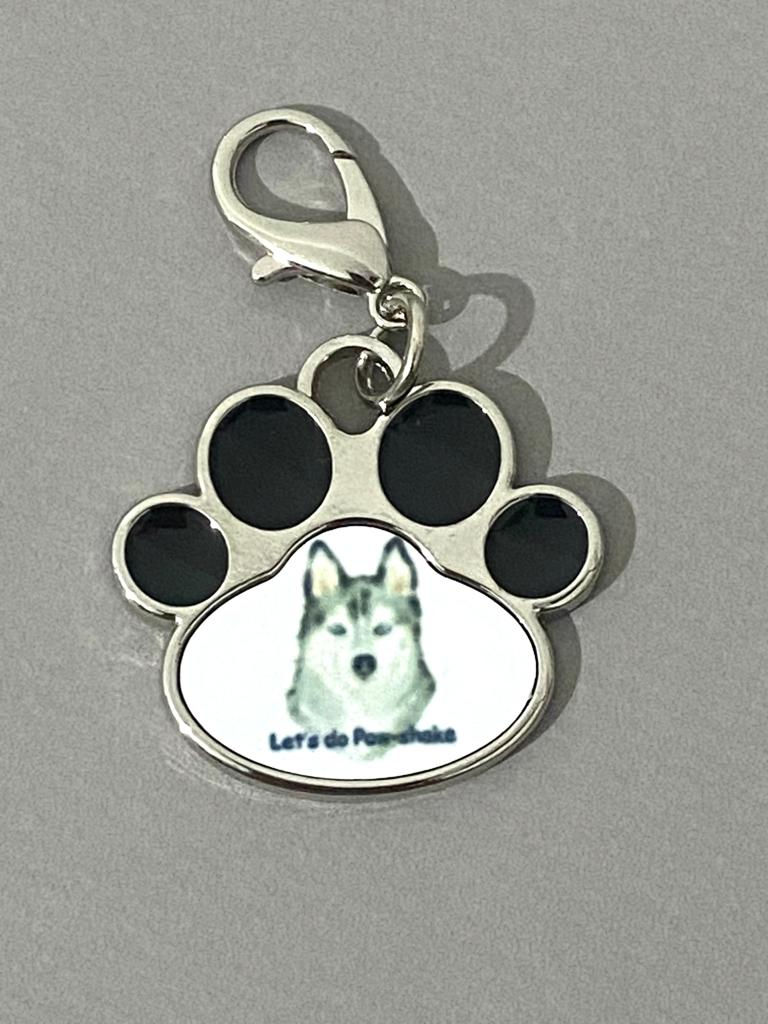 थंबनेल: Dog tags