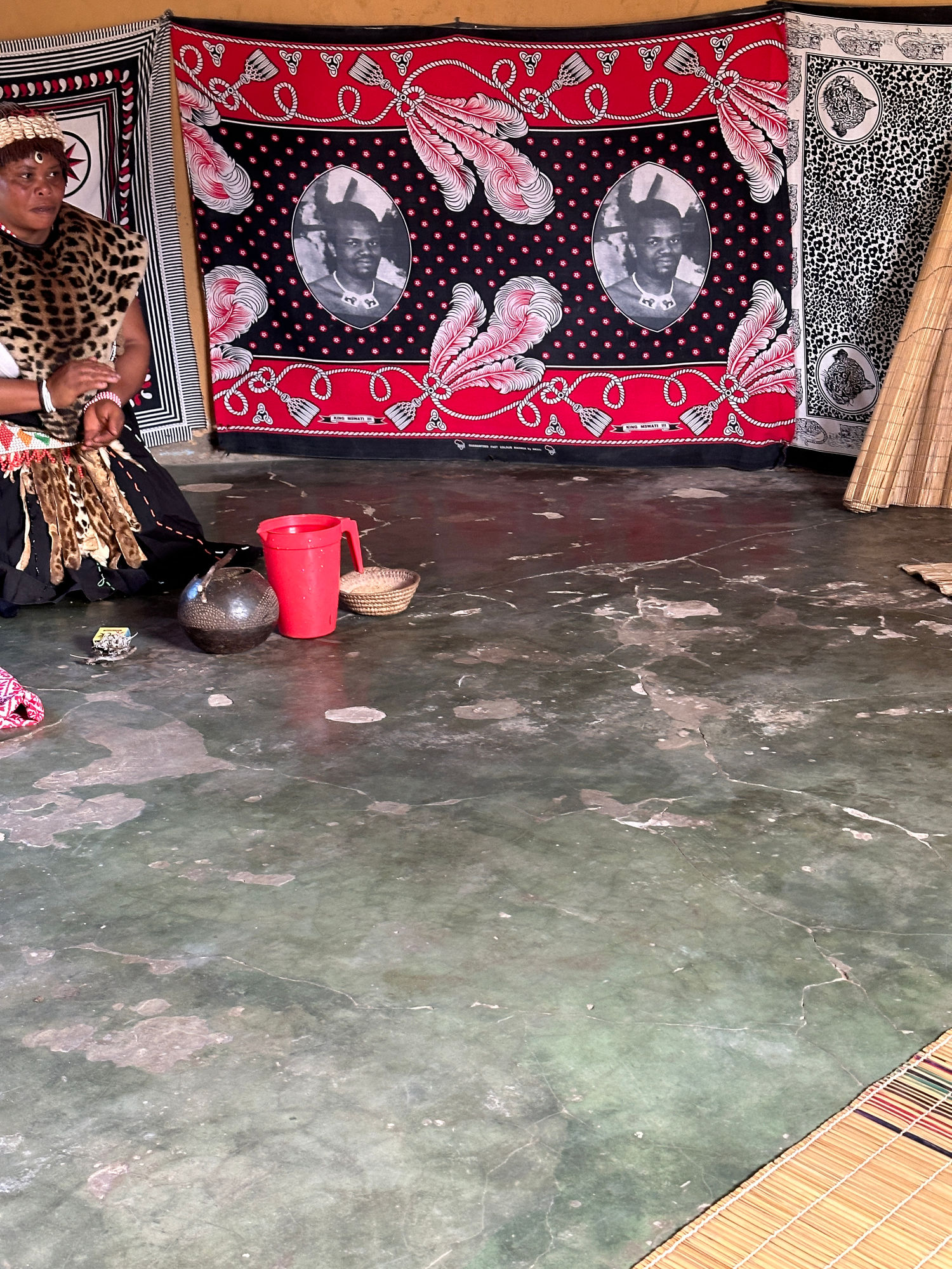 Day Visit to the local Zulu Village at &Forest Park — image 2 of 9