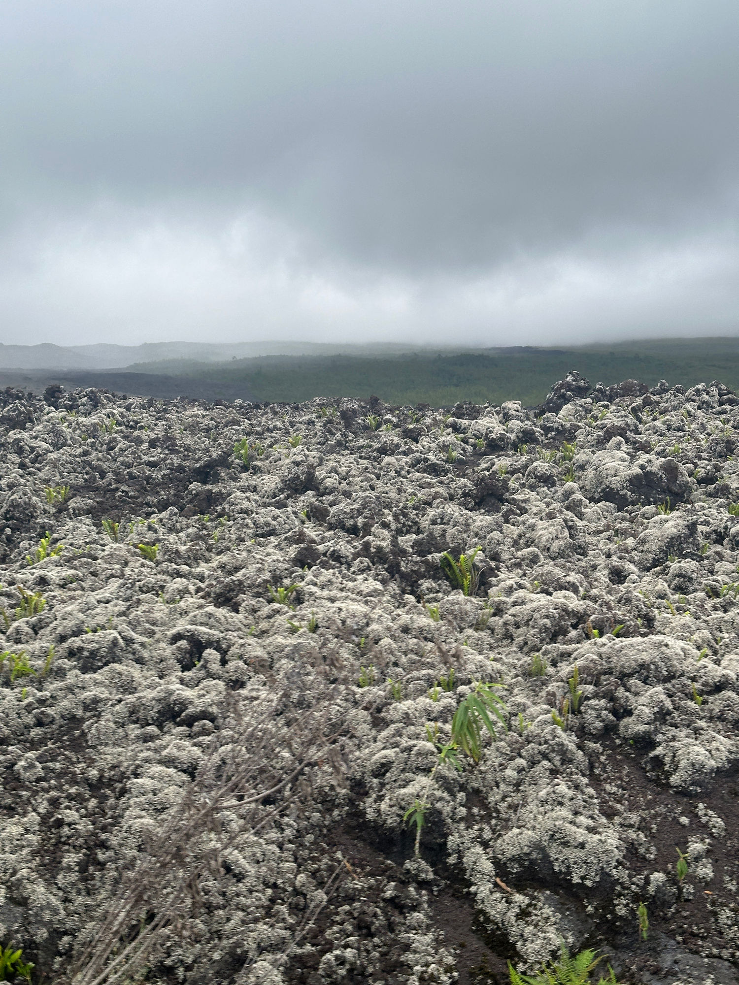 Joe standing on top of a very large dry lava flow that stretches for miles on the island — image 4 of 6