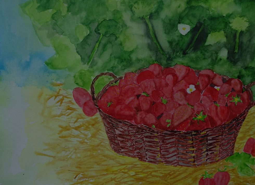 2025_Reife Erdbeeren
