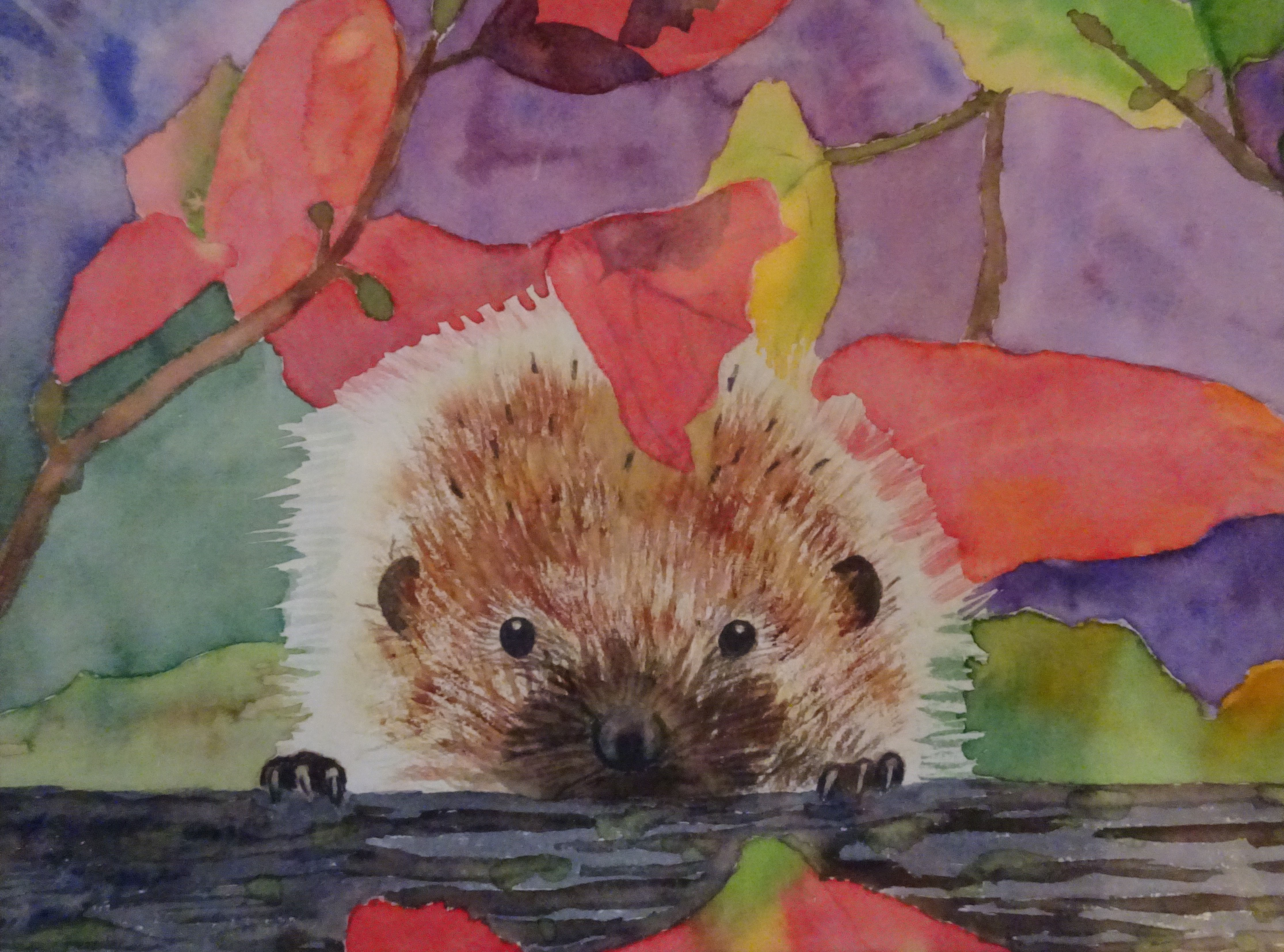 2018_Neugieriger Igel