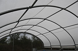 DSC_0034.JPG