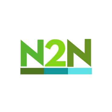 N (4).png