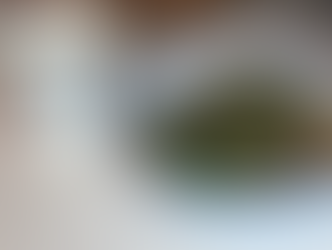 Easy Homemade Bread Recipes! Vegan NO-KNEAD Bread!