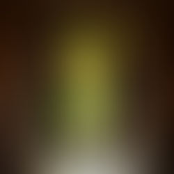 🌿 ROOT REMEDY COLLECTION — Ultra-Detailed Breakdown