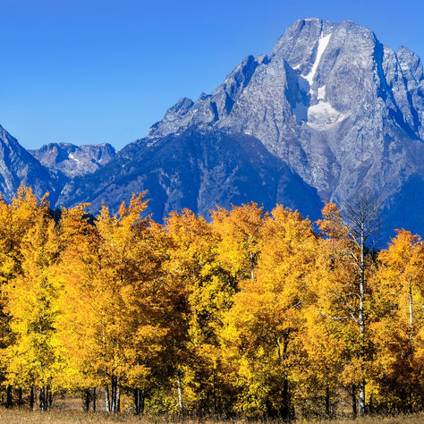 Discover the Magic of Fall Travel: Why it's the Perfect Season for Your Next Family Vacation