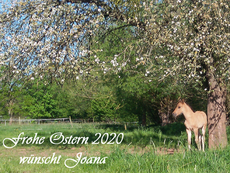 Frohe Ostern 2020