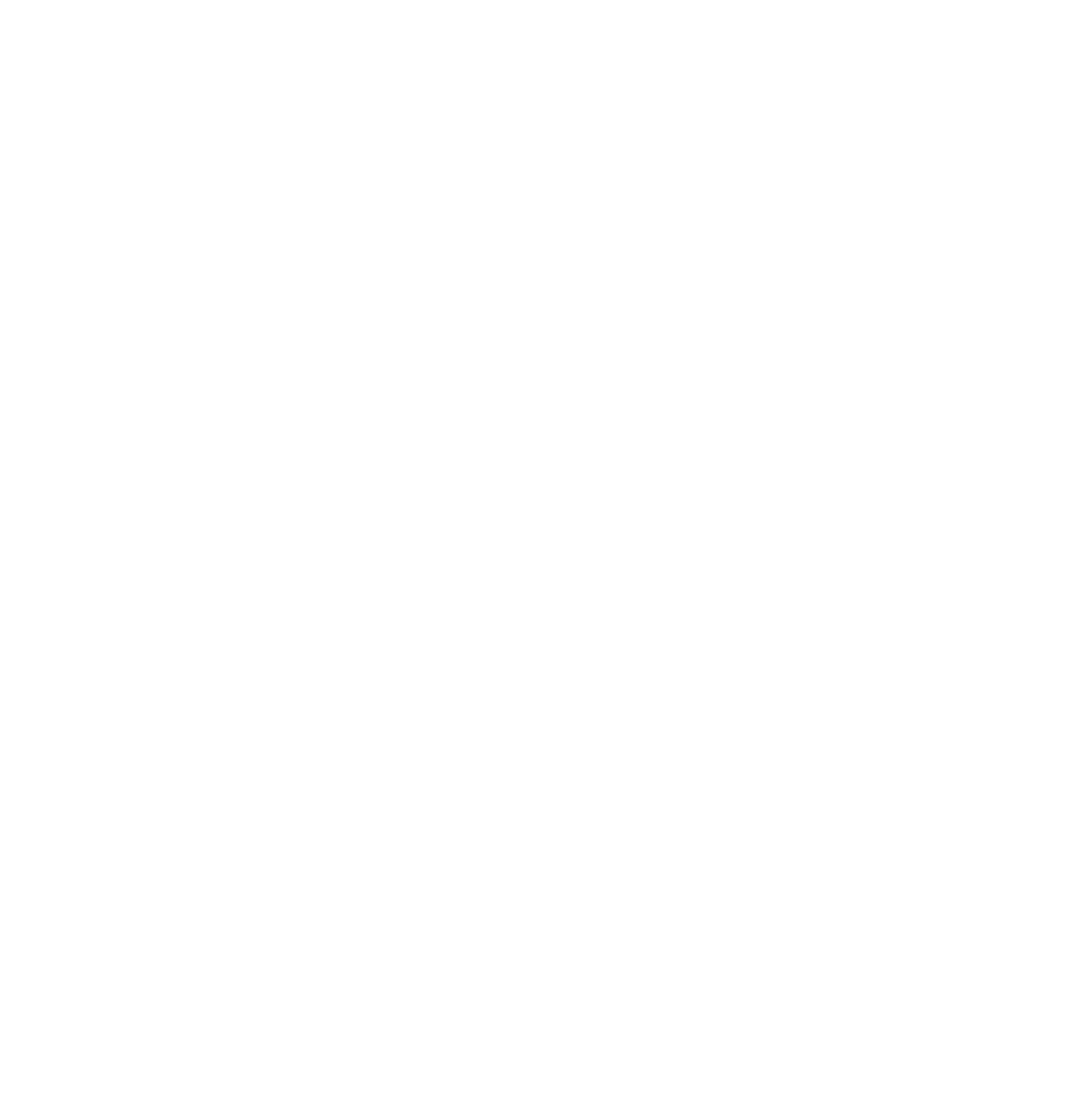 Rheintaler Montagen Logo