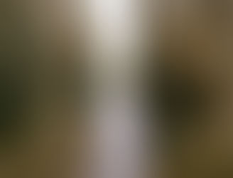 Verstehen durch Begreifen