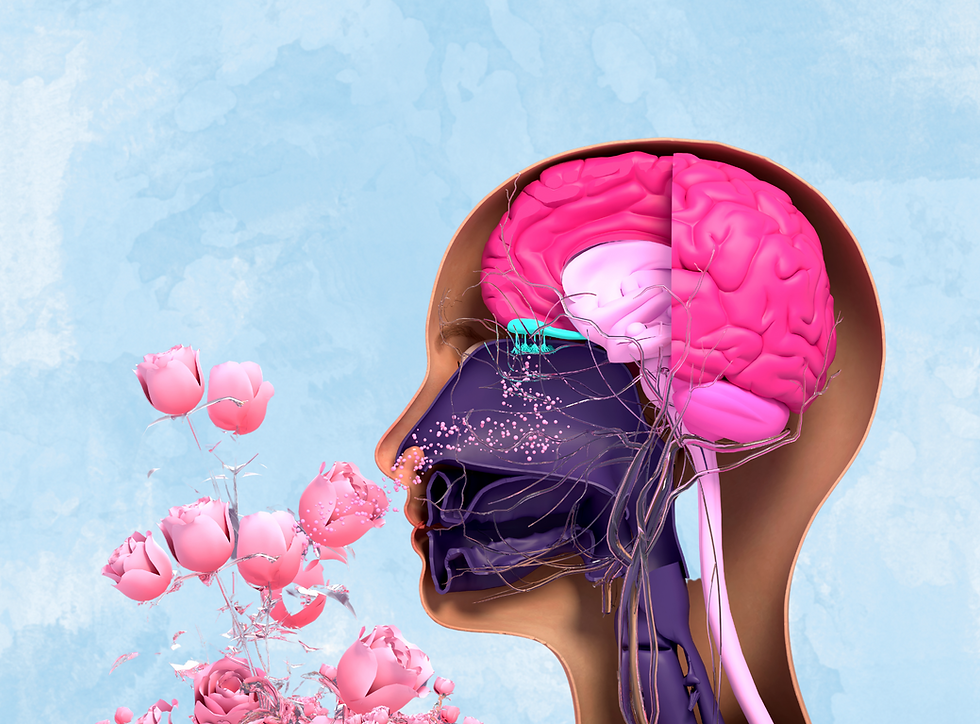 Aromatic Memories: The Science of How Scents, Feelings, and Memories are Connected