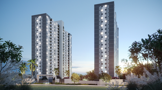 São José do Rio Preto/ SP