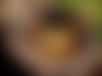 Bai He Gu Jin Tang Bai He Gu Jin Tang: