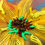 Thumbnail: sunflowers acrylic on wood set of two pices