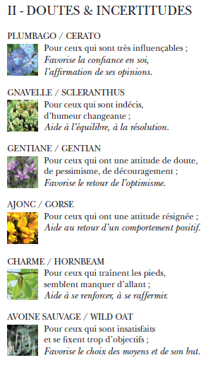 II - DOUTES & INCERTITUDES