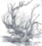 Thumbnail: Charles Parson Drawing