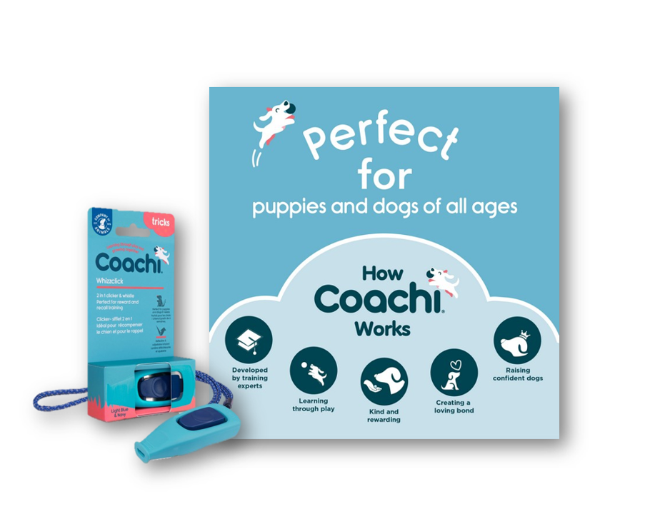 Thumbnail: Dog Walkers Starter Bundle