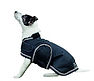 Dog clothing image.jpg