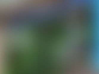 Título de Cidadão Honorário para fundador das Lojas MM é aprovado na Câmara de Curitiba