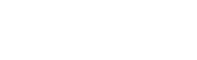 defense plane