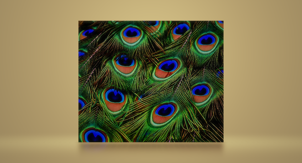 Peacock Feathers Lotus, digital pdf by Elaine DeCarlo: Psychic Channeling