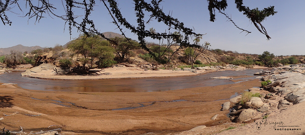 Ewaso Nyiro river in Shaba National Reserve