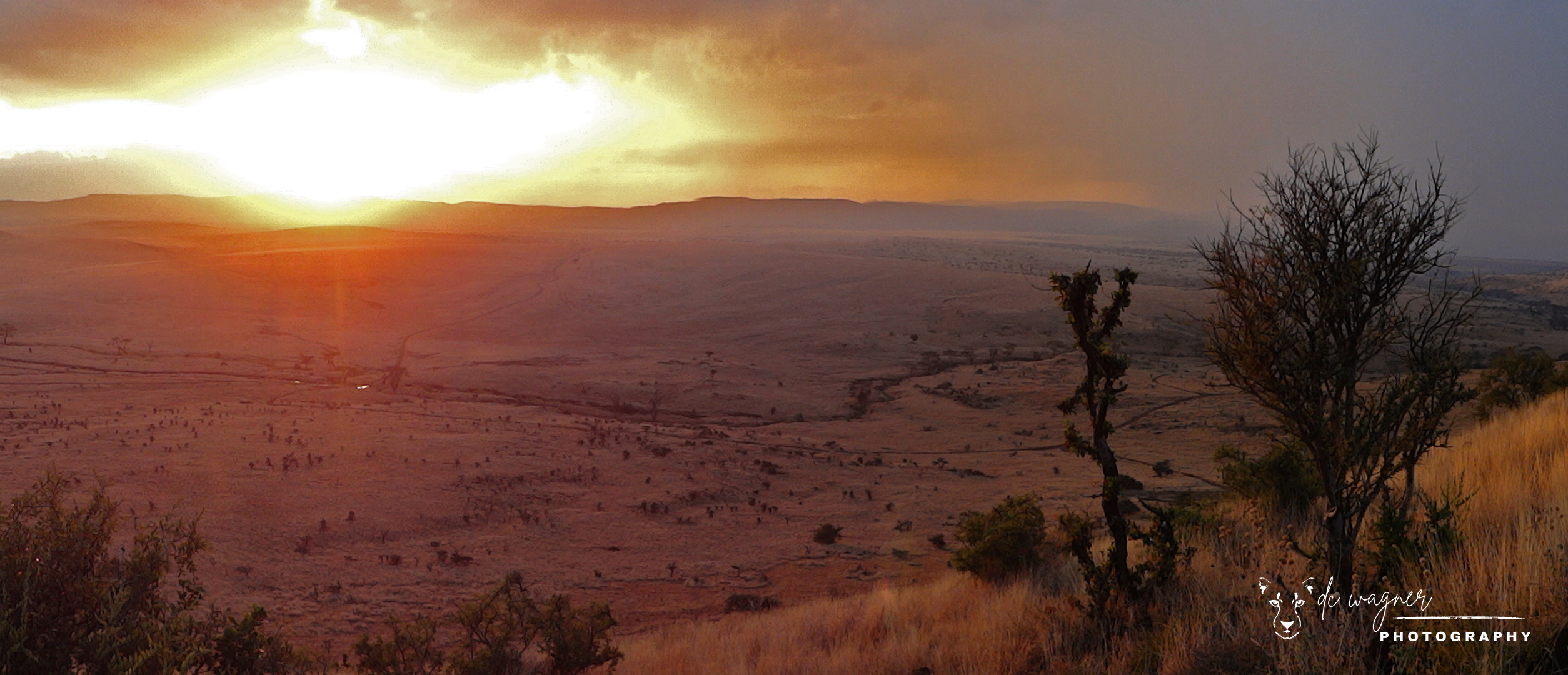 Sunset over Lewa