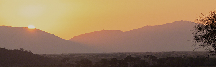 Golden savanna landscape, Kenya