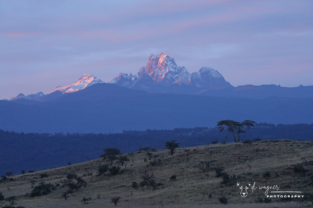 Mount Kenya