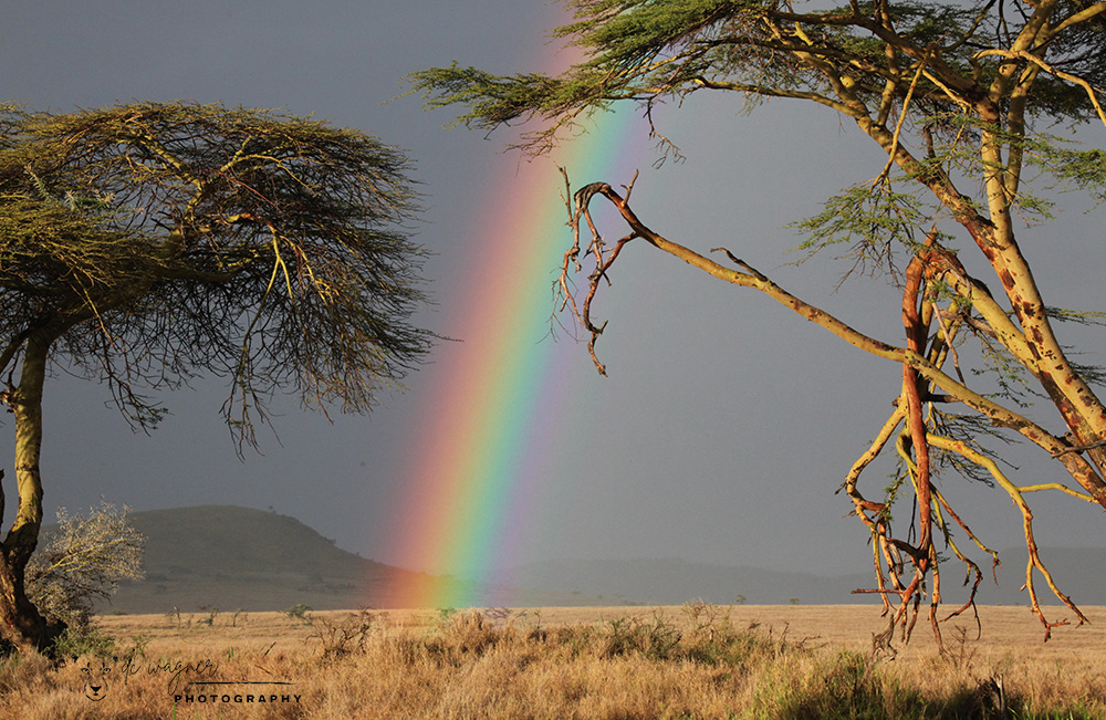 Rainbow over the savannah