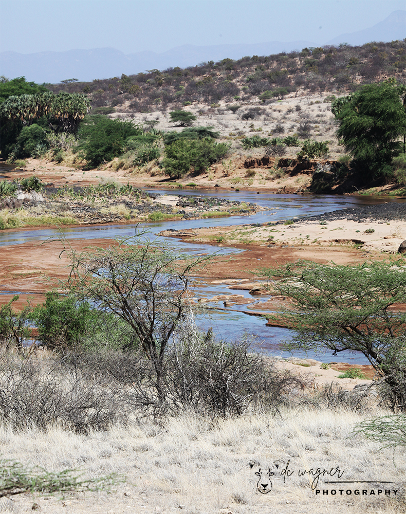 Ewaso Nyiro river