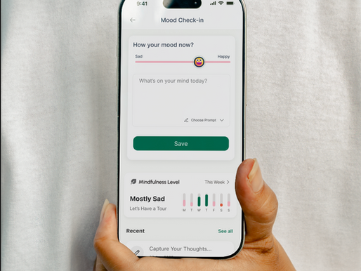 User using the therappai mood check-in feature to track and express feelings, aiming to improve mindfulness and emotional awareness.
