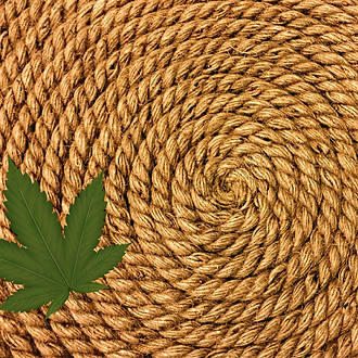 Untitled design(1)_edited.png