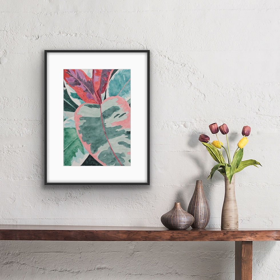 Miniatura: Calathea
