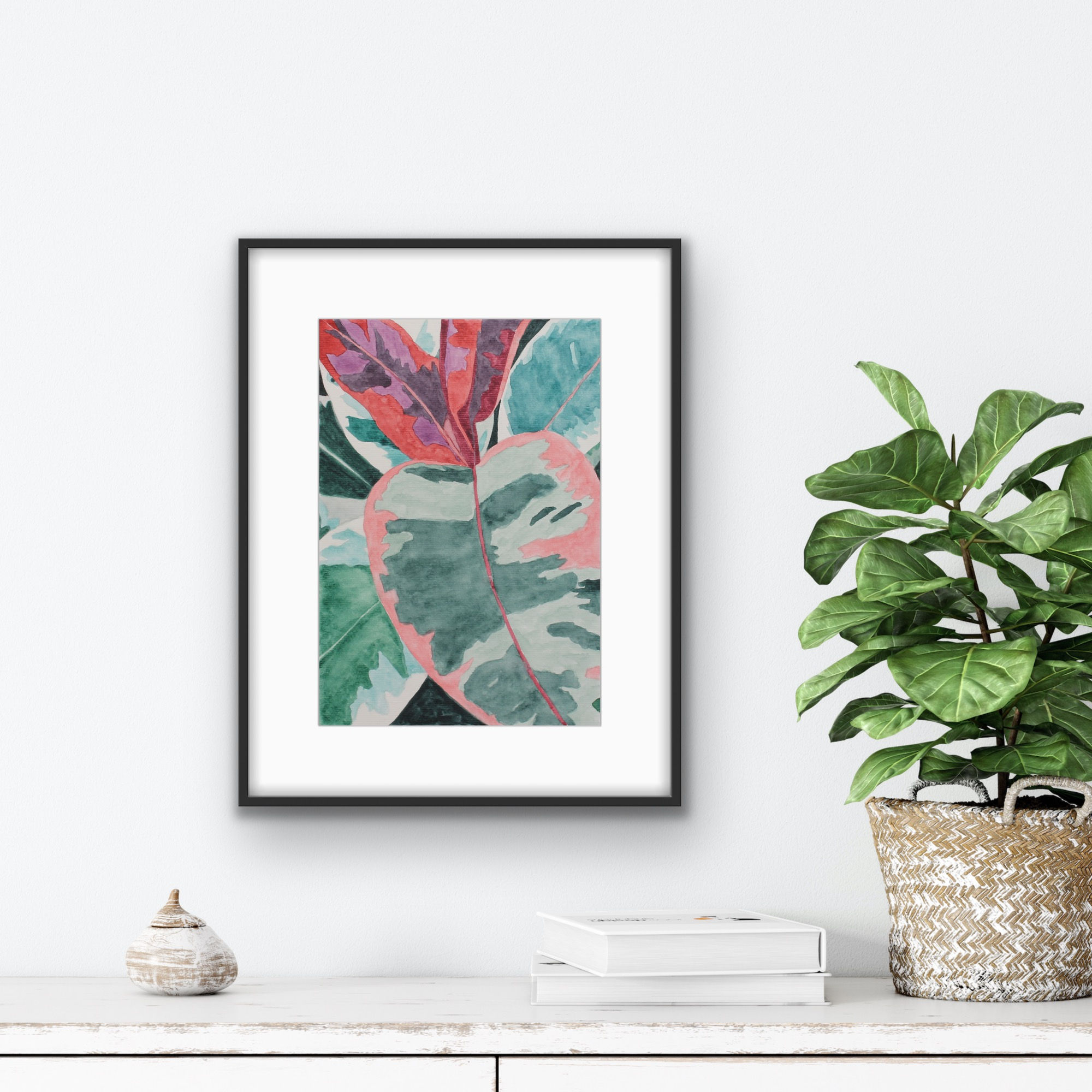 Calathea