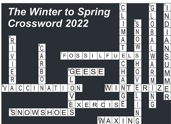 Sunny's Tea Cup Answers | Nexus Marketing International ...