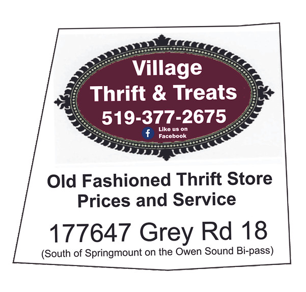 Village Shoppe_2025_internet button.jpg