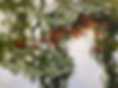 Oil Painting alla-prima: Landscape